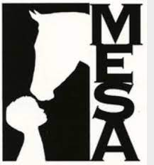 M.E.S.A. Therapeutic Horsemanship
